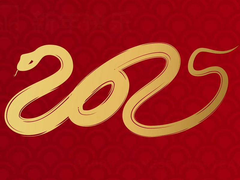 新春快乐，蛇年大吉！